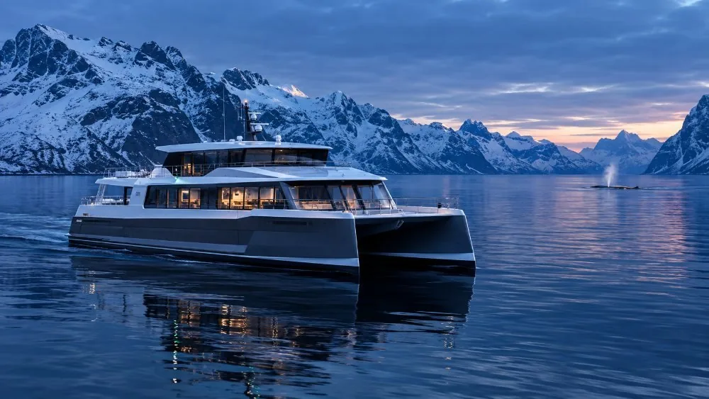 Tromsø : Excursion d’observation des baleines en bateau hybride électrique