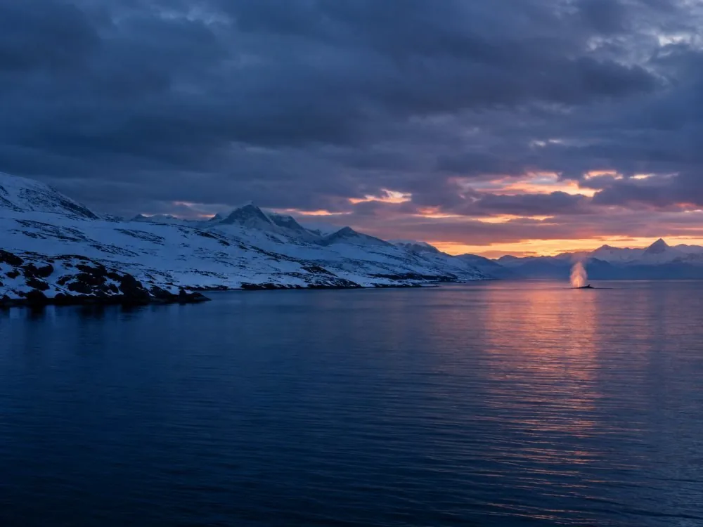 Aurore boréale verte au-dessus de la route du retour vers Tromsø, photographiée depuis la vitre d’un bus en fin de soirée.